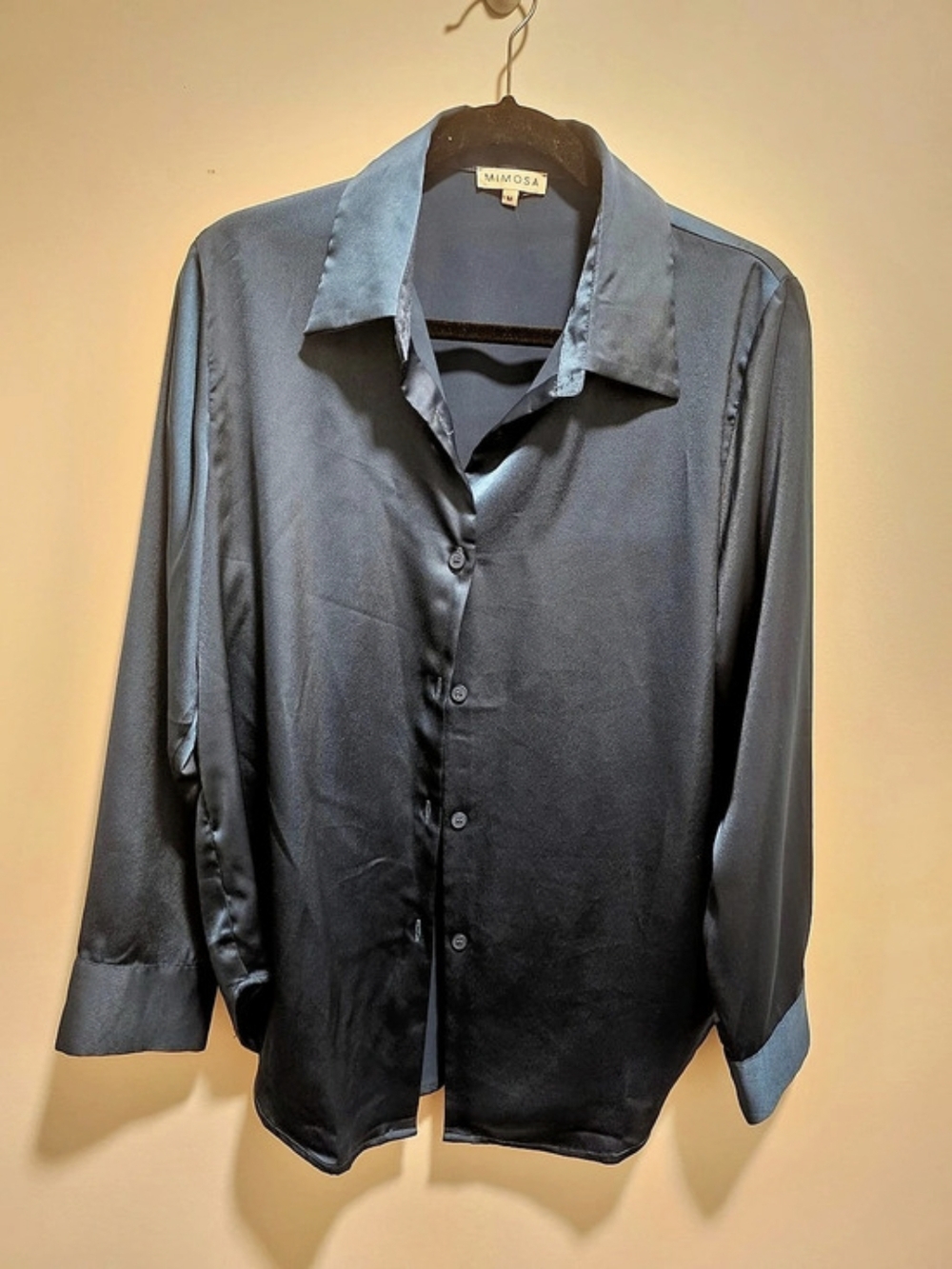 Mimosa Long Sleeve Button Down in Blue Size Medium